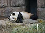 China Tour 2010