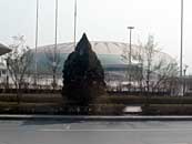 China Tour 2010