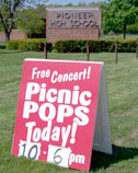 Picnic Pops